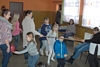 Koło Gospodyń Wiejskich Międzyleś - Choinka